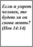 Текст